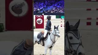 tiktok horse equestrian pony showjumping horseriding viral [upl. by Ahsinad]