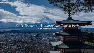 Stunning Mt Fuji View in Early Winter at Arakurayama Sengen Park 新倉山浅間公園の初冬  a virtual trip [upl. by Ri]