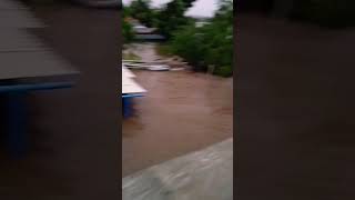 மழைநீர் வீட்டுக்குள் புகழ்ந்து பேரழிவு ☔shorts sachuwithchithu trending viralvideo rain flood [upl. by Ativet]