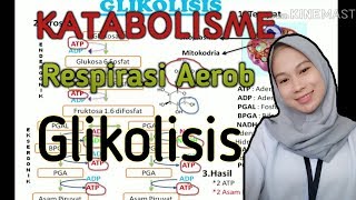 Respirasi Aerob Glikolisis metabolisme sel Respirasi Aerob Glikolisis [upl. by Larina]