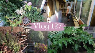 VLOG 127🌿Lagrandissement de la serre avance  De très grosses plantes à mettre à labri  🍅 [upl. by Colston]