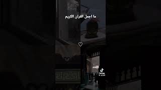 ٣١ أغسطس، ٢٠٢٤ [upl. by Akinom]