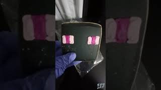 Eating a Minecraft Enderman Cookie [upl. by Anwaf145]