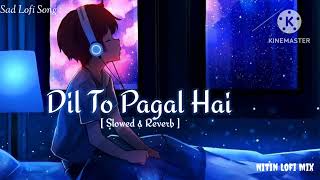 Dil To Pagal Hai💔  Slowed amp Reverb  Lofi  Lyrics Song  Babbu Man  Punjabi Sad Song [upl. by Orenid]