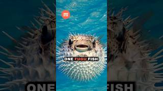 Deadly Fugu Fish Poisonous Delicacy 🐡💀  shorts facts [upl. by Ingaborg]