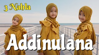 ADDINULANA  3 NAHLA Cover [upl. by Yi]