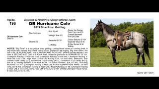 Pitzer Ranch Fall Sale 2024 DB HURRICANE COLE [upl. by Devona645]