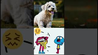 Not my problem gumball animation trending tiktok gumballfunny art [upl. by Ellinehc]