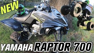 2019 Yamaha Raptor 700 ATV  Best Trail Riding Four Wheeler [upl. by Anik]