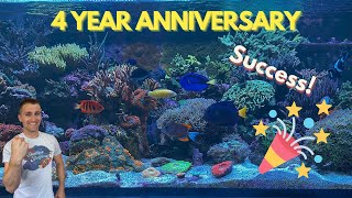 Shallow Reefing Innovative Marine 200 Gallon 4 year Anniversary [upl. by Riba]