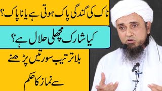 Namaz K Masail Is Shark Fish Halal In Islam Mufti Tariq Masood Sahab Latest [upl. by Calendra]