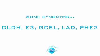 Dihydrolipoyl dehydrogenase mitochondrial recombinant protein [upl. by Migeon775]