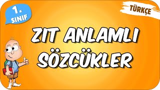 Zıt Anlamlı Sözcükler 📙 1Sınıf Türkçe 2024 [upl. by Querida]