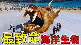 地球上“最致命”的10大海洋怪兽，科学家声称，海王人形生物真的存在，彻底改变世界世界之最 世界之最top 科普 top10 地球最top 腦洞大開 动物 海洋生物 [upl. by Lazarus695]