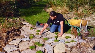 Plantas para caminos de jardín  Bricomanía  Jardinatis [upl. by Myrtie311]