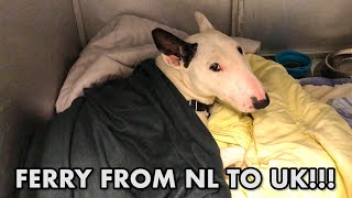 ROCKY takes the STENA LINE FERRY from HOLLAND to the UK [upl. by Chloe]