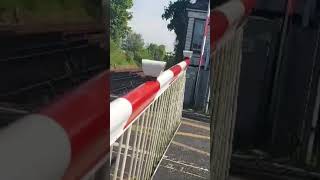 Snodland level crossing Lowering Kent [upl. by Yhtur413]