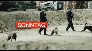 Tatort Ätzend Offizielle ORF Vorschau  15112015 [upl. by Melania]