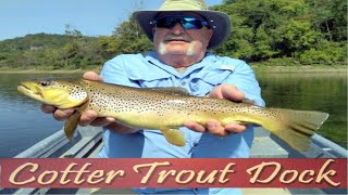 September 11 2024 Arkansas Trout Fishing Report [upl. by Hako]