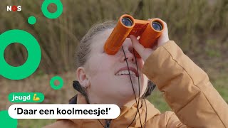 Kinderen tellen vogels op school Daar een koolmeesje [upl. by Ayeki907]