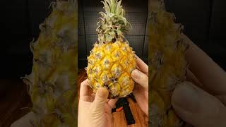 Gel Blasters VS Pineapple [upl. by Seni]