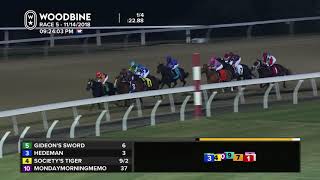 Woodbine November 14 2018  Race 5 [upl. by Ashwell]