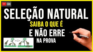 O QUE É SELEÇÃO NATURAL  Aprenda o que é em 2 minuto Não Erre Nunca na PROVA [upl. by Molini]