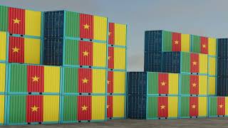 Cameron export import container stock footage [upl. by Enilada877]