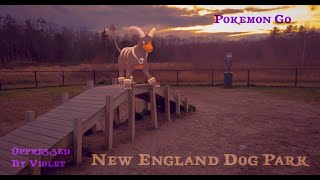 LoFi Chill  Pokemon at the Dog Park in New England [upl. by Runck]