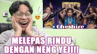 ITZY  Cheshire MV REACTION  TERTAMPAR VISUAL [upl. by Borer]