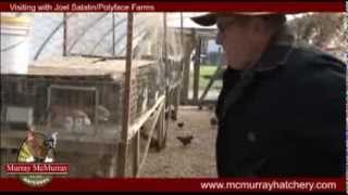 Murray McMurray Hatchery visits Joel Salatin and Polyface Farms [upl. by Millisent284]