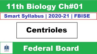 Centrioles Structure and Function Class 11 Biology Ilmi Stars Academy [upl. by Doersten]