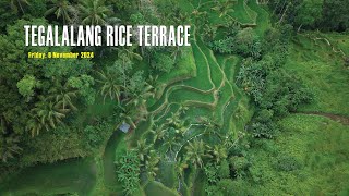 TEGALALANG RICE TERRACES UBUDBALI  DJI AIR 3S [upl. by Leuqar]