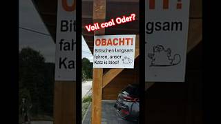 OMG Dieses Schild funny comedy humor funnyvideo witzig [upl. by Eyk]