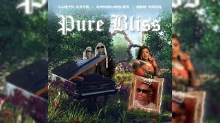 Pure Bliss Luzyo Keys ft 2woBunnies amp DBN Gogo [upl. by Tiphany]