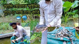 ছোট পুকুরে মাছ চাষের আধুনিক পদ্ধতি Modern methods fish farming in small pondsAgroknowledgeBD [upl. by Bloxberg745]