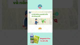 Phun gì để vô gạo nhanh chắc tới cậy phần 1 [upl. by Chapell]