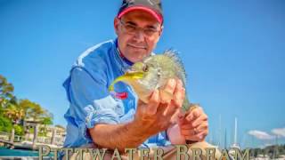 Pittwater Bream MFB 28012017 [upl. by Nylirak]