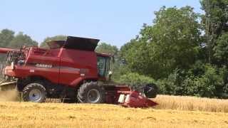 Moissonneuse batteuse Case IH 6130  démonstration Lesage [upl. by Endaira989]