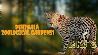 National Zoological Gardens of Sri Lanka දෙහිවල සත්තුවත්ත බලන්න යමුදtravel vlog animals foryou [upl. by Shu]