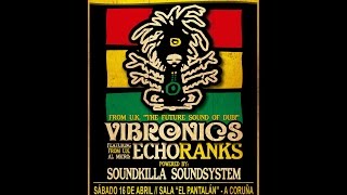 Vibronics ft Echo Ranks meet Soundkilla Sound System Feel the Bass Vol5 [upl. by Adalie]