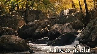 relaxing songmeditation musiclove enjoyable [upl. by Jacobah]