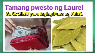 DAHON ng LAUREL pampaswerte sa WALLET at PANG HAKOT ng PERA  Inday8 Buhay Probinsya [upl. by Bausch]