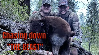 Chasing “THE BEAST”  Idaho Bear Hunt 2024 [upl. by Natsirk826]