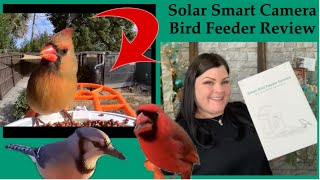 FVVL Solar Powered Camera Smart Bird Feeder  Full Review [upl. by Eidson]