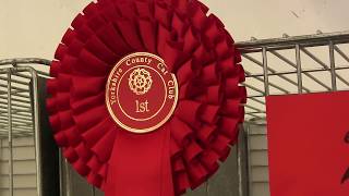 Highlights from Rotherham Show 2017 [upl. by Sawyor694]