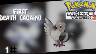 First death already again episode 1 of Pokémon white 2 Nuzlocke [upl. by Nennarb]