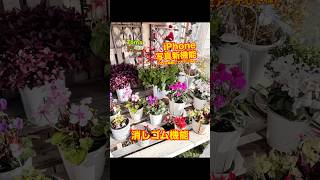 iPhone15pro以降対応写真 新機能 消しゴム機能やり方 iPhone 園芸 ガーデニング [upl. by Asenad]