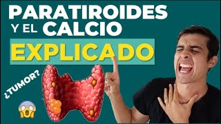 La INCREIBLE 🤯 función de la PARATHORMONA Y CLACITONINA Fisiologia Fácil [upl. by Martreb]