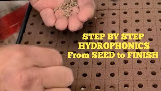 Hydroponic Seed to Finish STEP BY STEP [upl. by Egan274]